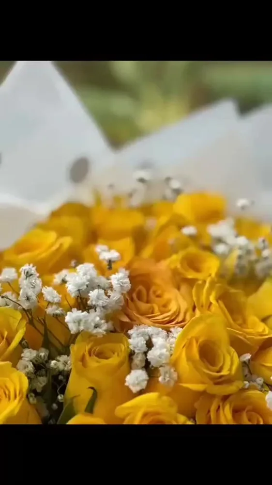 A Florence arrangement