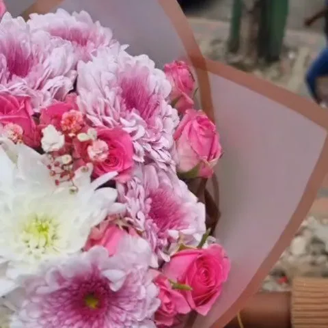 Blush Reverie — Soft pastel mood