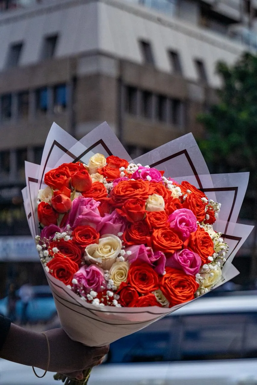 Red Velvet Bloom — Statement roses