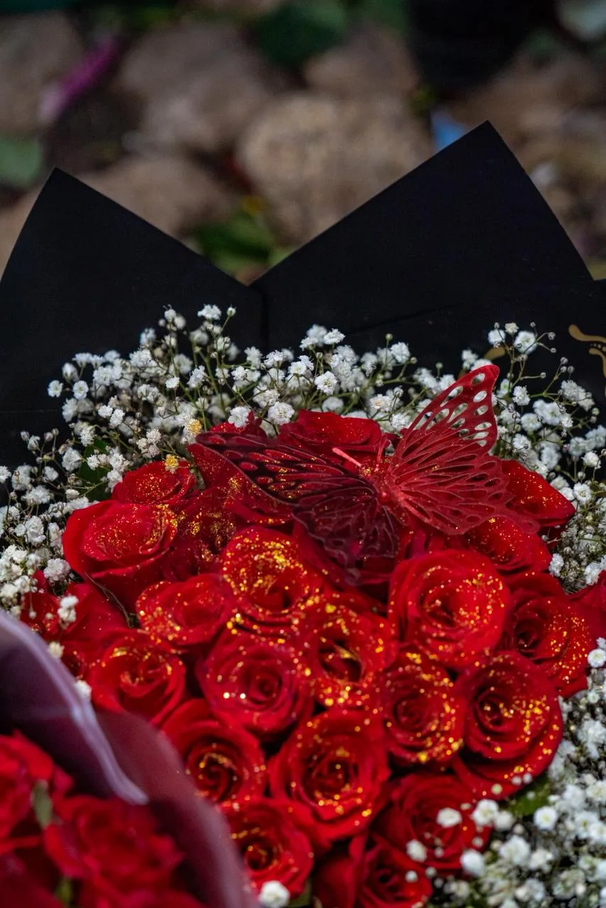 Red Velvet Bloom — Statement roses